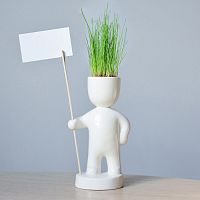 набор для выращивания eco знаменосец в Томске