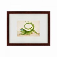 картина: green iguana, 1701 в Томске