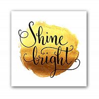 постер shine а3 в Томске