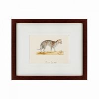 картина: an ocelot, 1801 в Томске