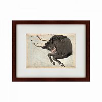 картина: signs of zodiac taurus, 1825 в Томске