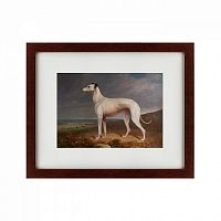 картина: portrait of a greyhound, 1744 в Томске