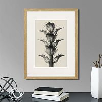 картина: botanical philosophy of forms №7, 1912г. в Томске