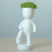 набор для выращивания eco футболист в Томске