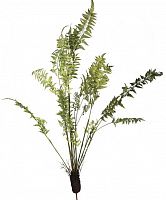декор fern plant в Томске