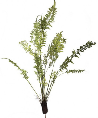 декор fern plant в Томске