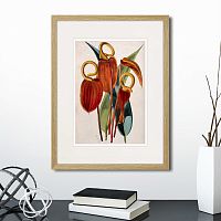 картина: exotic plants of the world №15, 1815г. в Томске