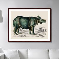 картина: rhinoceros, 1774г. в Томске