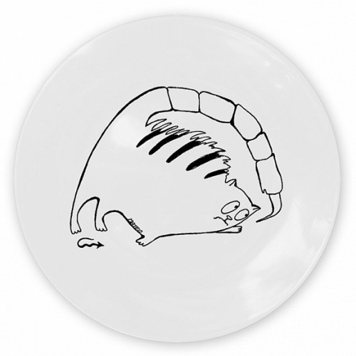 кот-скорпион в Томске