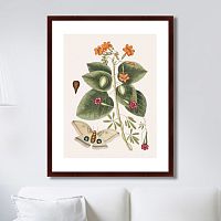 картина: beauty bloom №4, 1732г. в Томске
