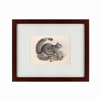 картина: the squirrel, 1879 в Томске