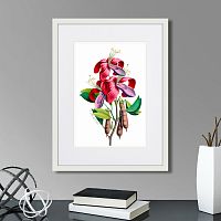 картина: caribian flora pink and purple flower, 1740г. в Томске