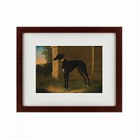 картина: portrait of a greyhound called pompon, 1746 в Томске