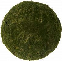 декор moss sun в Томске