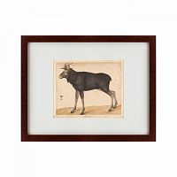 картина: moose, 1560 в Томске