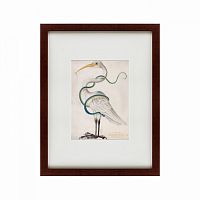 картина: heron encircled by a snake, 1700 в Томске