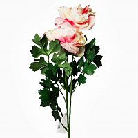 пион розовый 62 см (12) в Томске