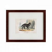 картина: a caracal or lynx, 1830 в Томске