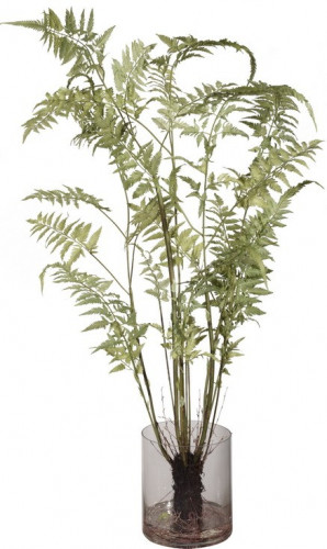 декор fern в Томске