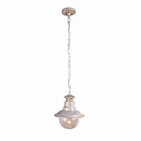 уличный подвесной светильник arte lamp amsterdam a1523so-1wg в Томске