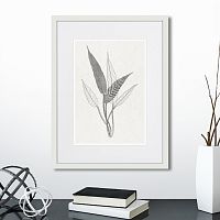 картина: the fern collection №6 в Томске