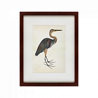 картина: heron (литография), 1822 в Томске