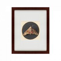 картина: owlet moth, 1700 в Томске